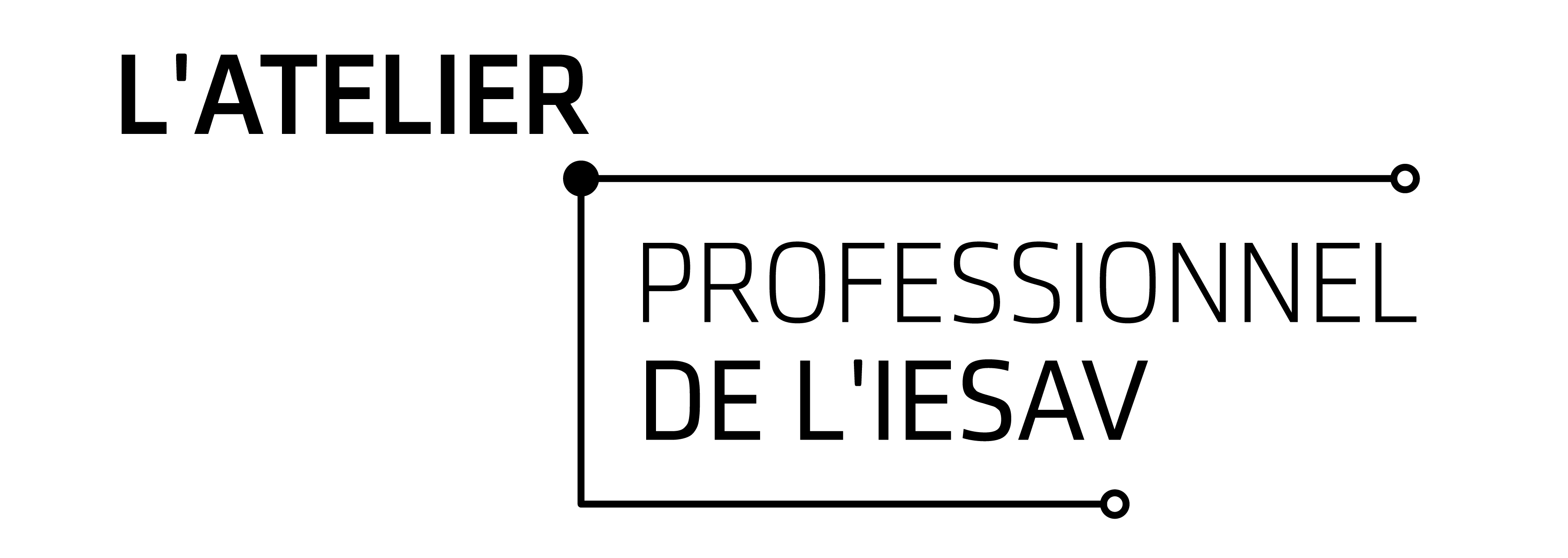 Professional-Lab-Logo