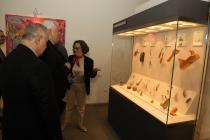 IMG%204582a.jpg