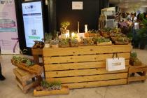 IMG%204582a.jpg