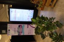 IMG%204582a.jpg