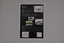 IMG%204582a.jpg