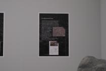 IMG%204582a.jpg