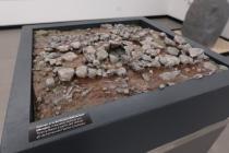 IMG%204582a.jpg
