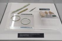 IMG%204582a.jpg