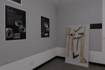 IMG%204582a.jpg