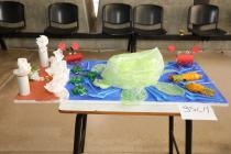 IMG%204582a.jpg