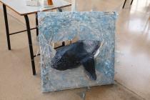 IMG%204582a.jpg