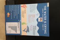 IMG%204582a.jpg