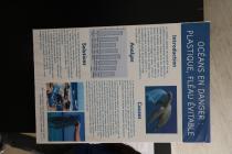 IMG%204582a.jpg