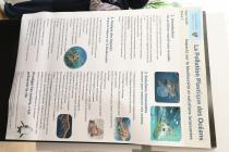 IMG%204582a.jpg