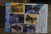 IMG%204582a.jpg