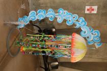IMG%204582a.jpg
