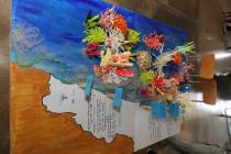 IMG%204582a.jpg