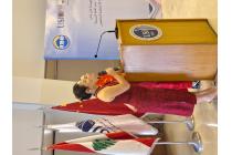 IMG%204582a.jpg
