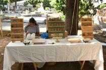 IMG%204582a.jpg