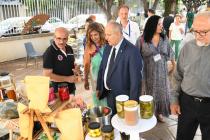 IMG%204582a.jpg