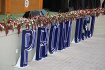 IMG%204582a.jpg