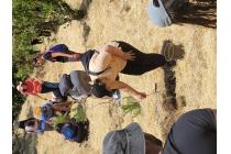 IMG%204582a.jpg