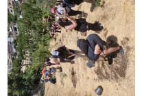 IMG%204582a.jpg