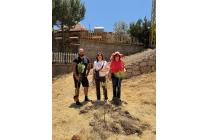 IMG%204582a.jpg