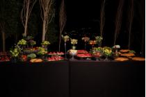 IMG%204582a.jpg