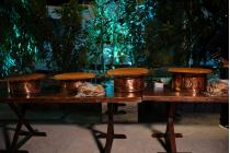 IMG%204582a.jpg