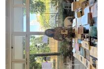 IMG%204582a.jpg