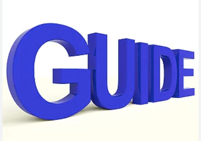 Pedagogical Guide - Guidelines for Presenting Assignments, Projects and Internship Reports