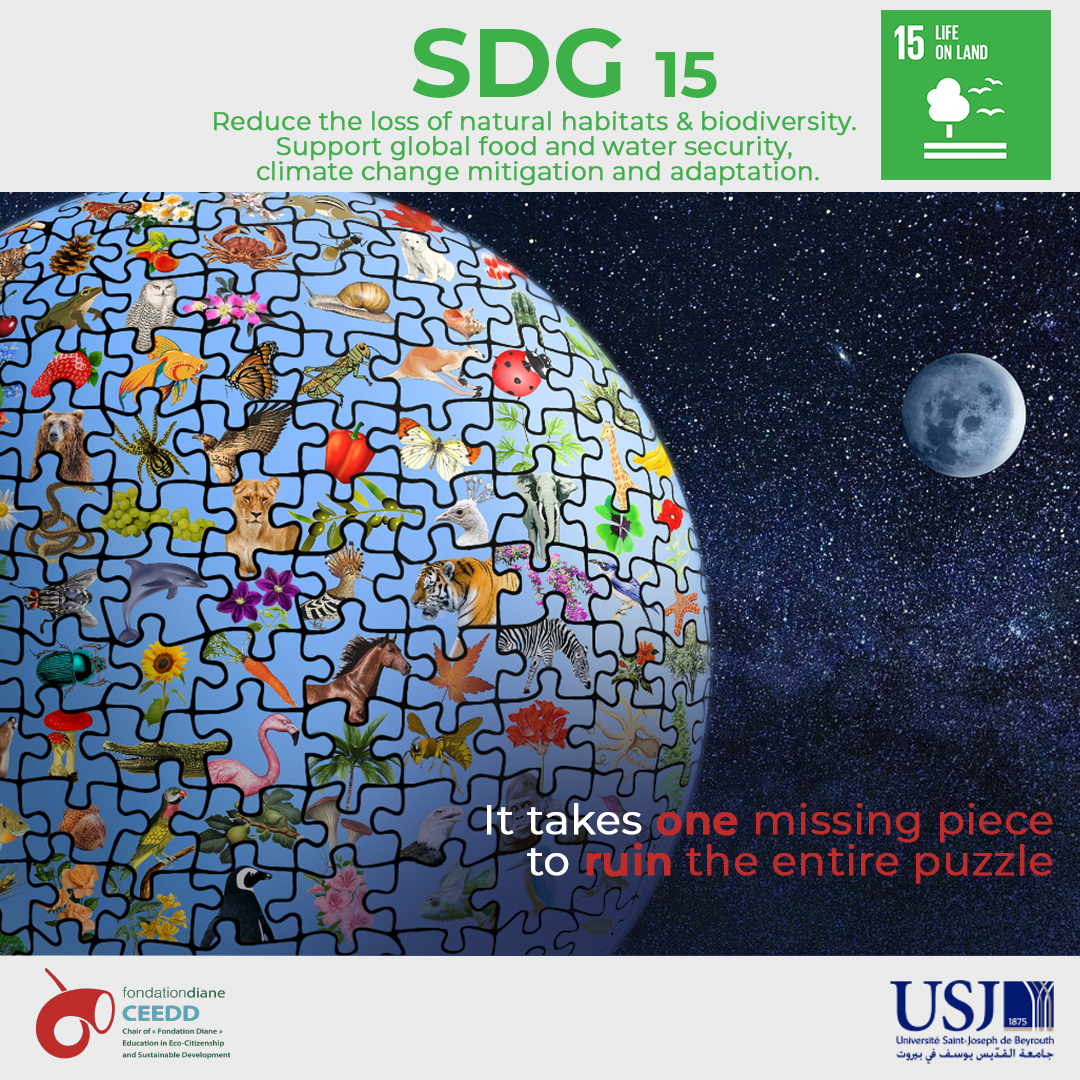 SDG 15 - Life on Land 