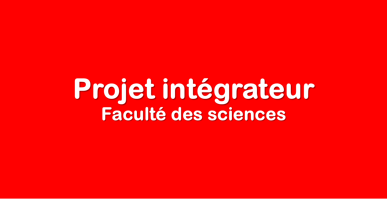 Projet Intégrateur