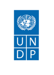 undp