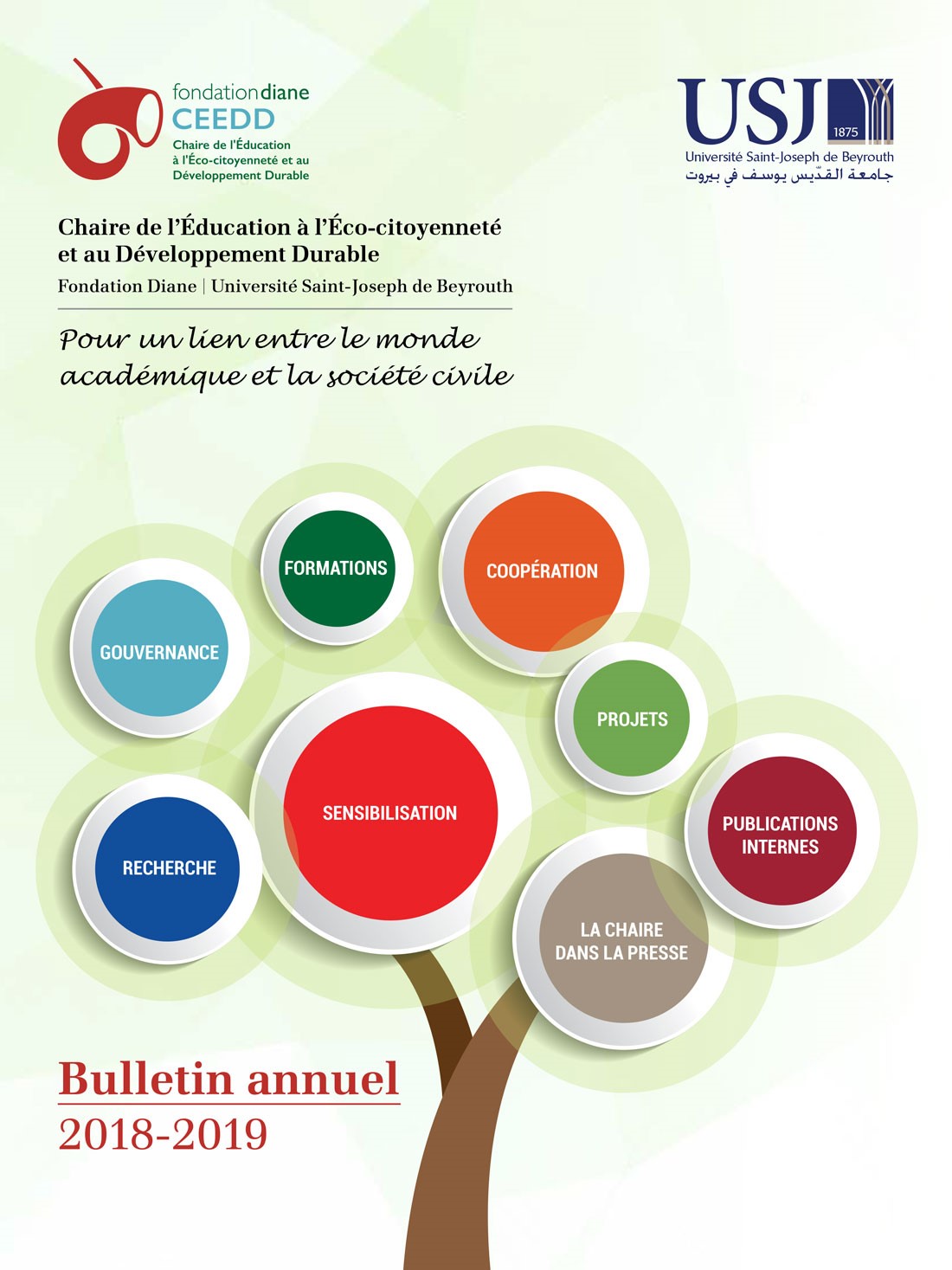 rapport annuel ceedd 2018-2019