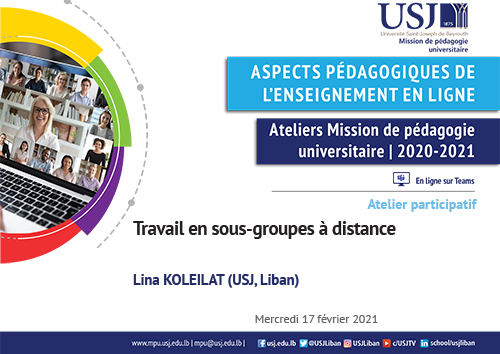 Travail en sous-groupes à distance - Lina KOLEILAT