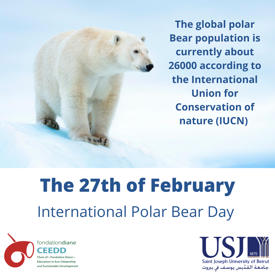 International Polar Bear Day - SDG 15