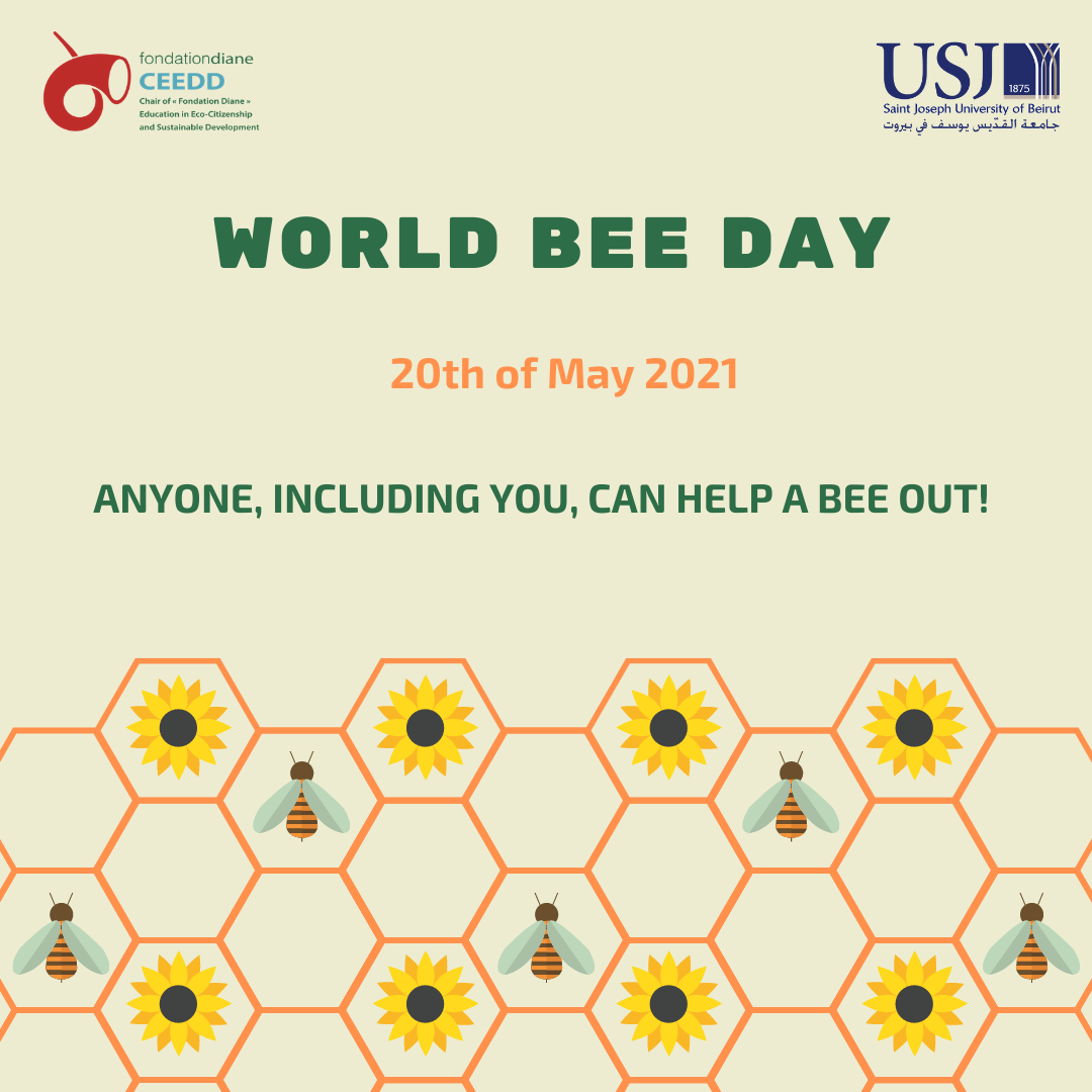 World Bee Day SDG-15