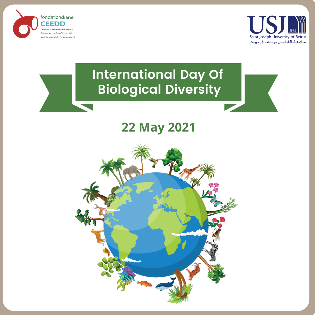 International Day of Biodiversity- SDG 14&15