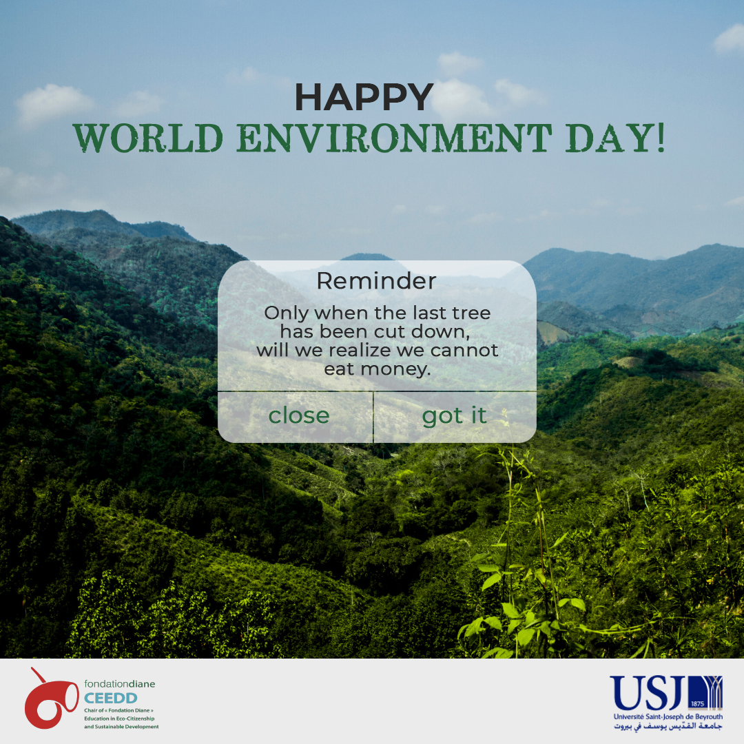 World Environment day