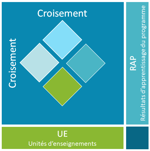 Croisement UE RAP SVT - CMI -TI