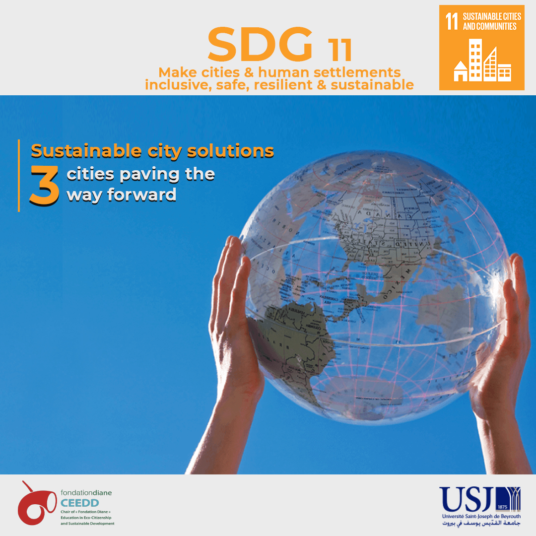 SDG 11 : Sustainable Cities and Communities 