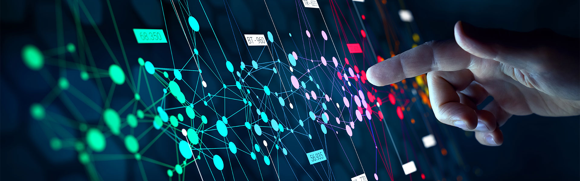 Bachelor in Data Science