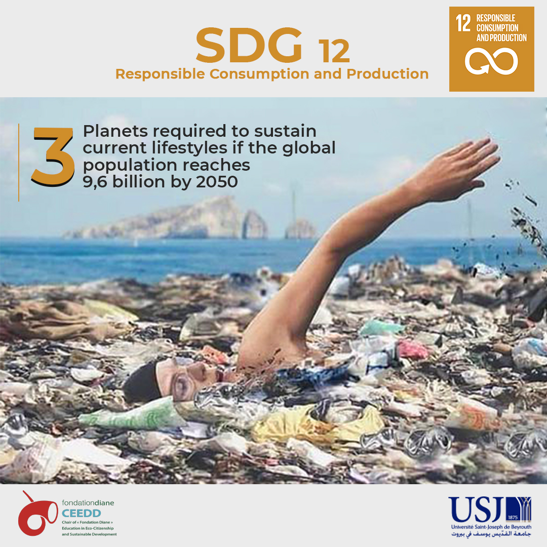 SDG 12 - Responsible Consumption and Production 