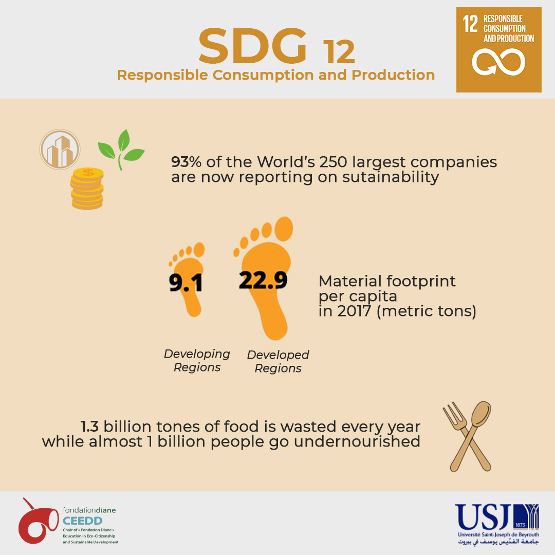 SDG 12 - Responsible Consumption and Production 