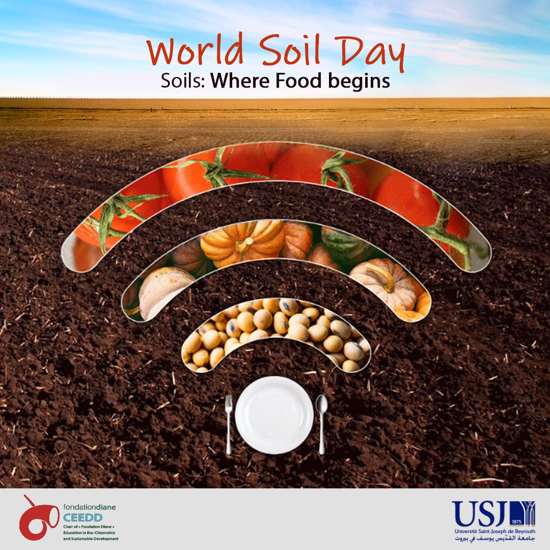 World Soil Day