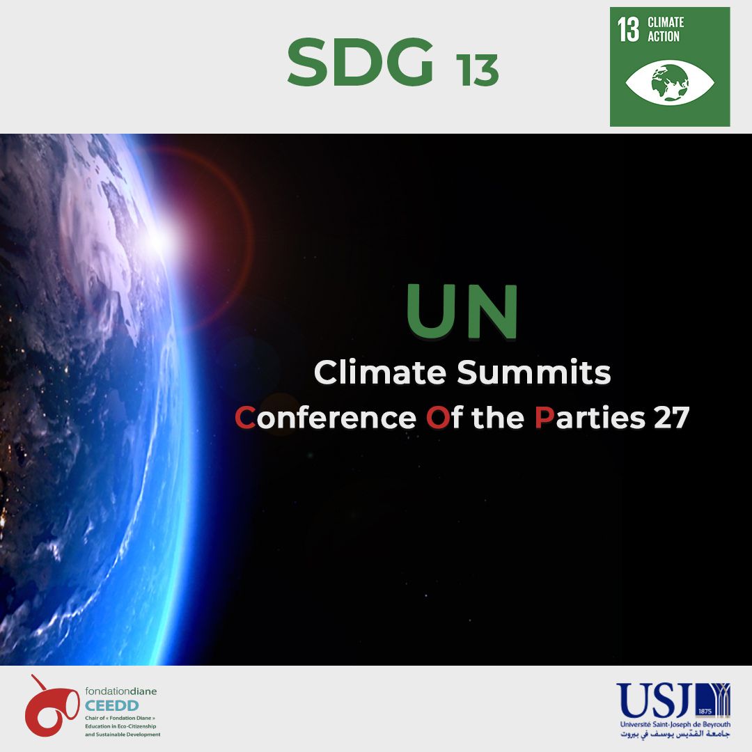 SDG 13 - Climate Action 