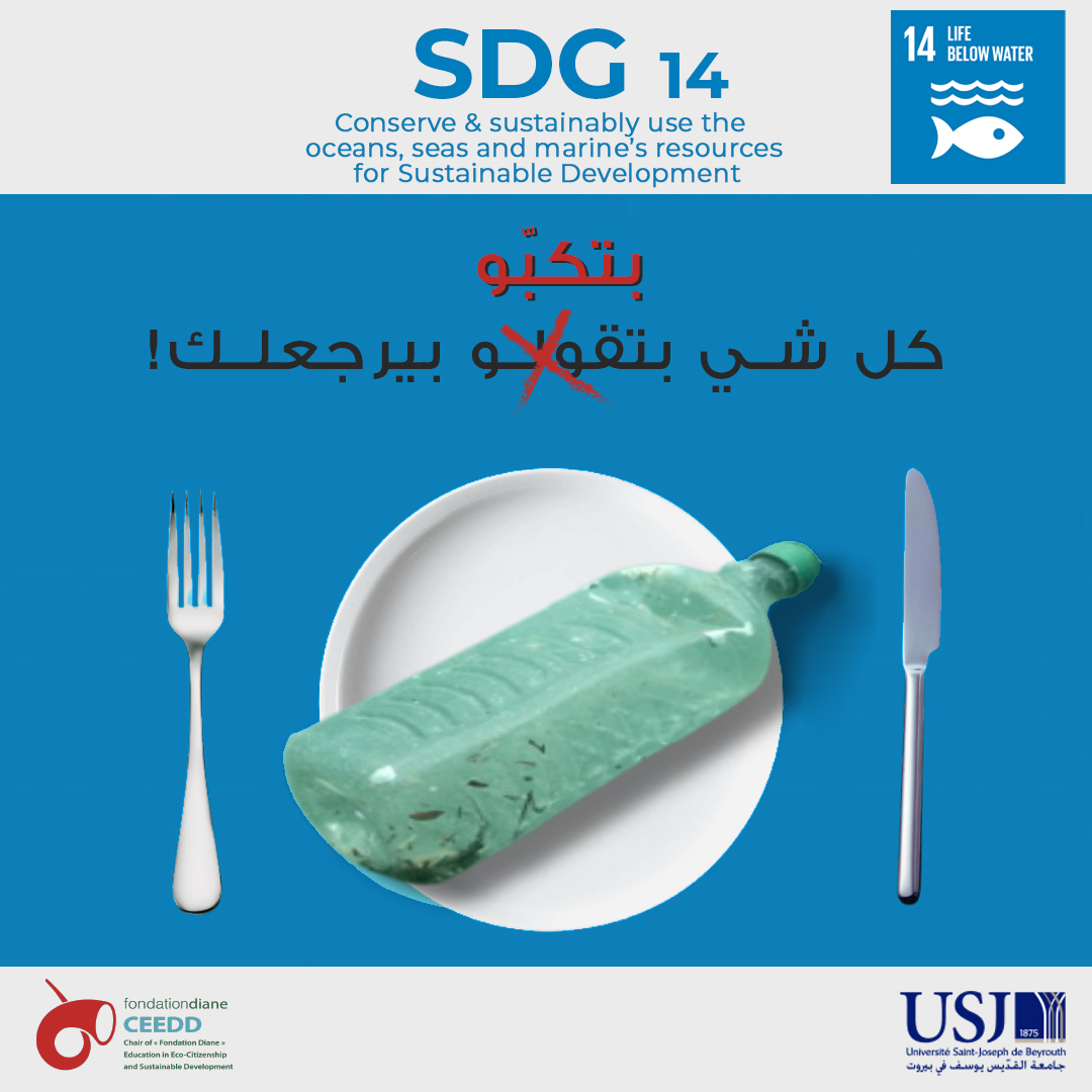 SDG 14 - Life Below Water 