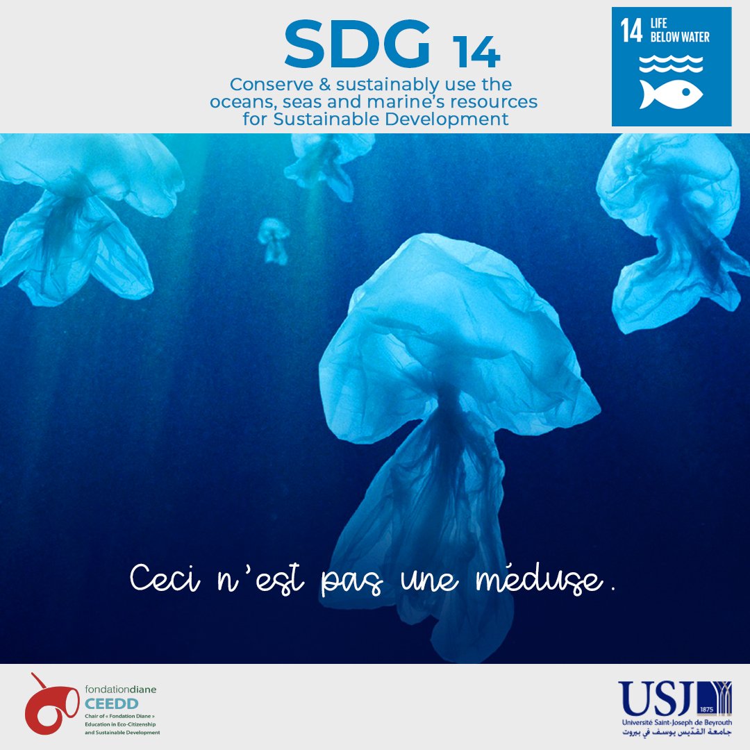 SDG 14- Life below water 
