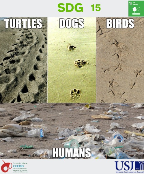 Human Activities