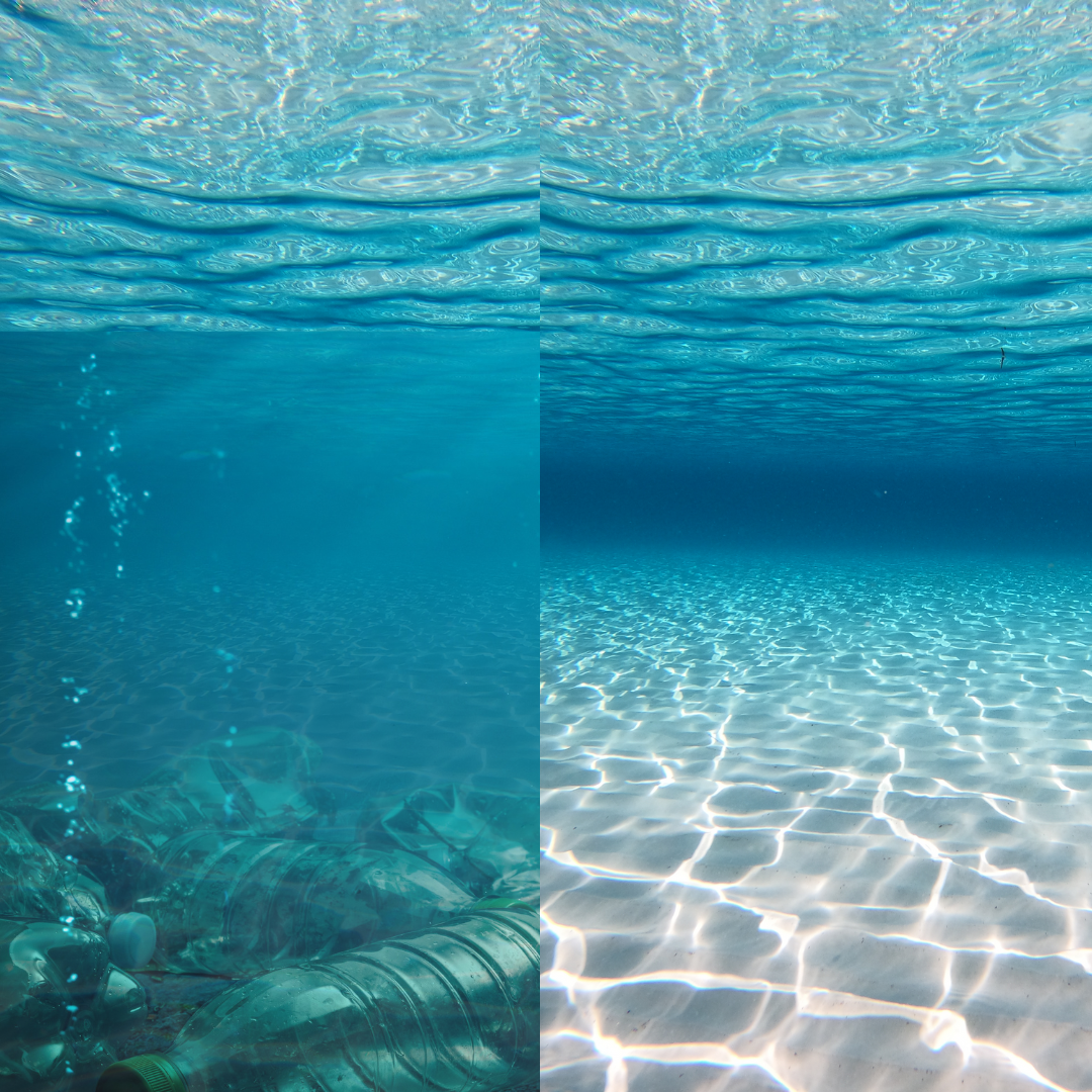 See Clean - Clean Sea