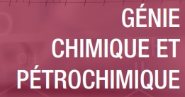 Programme Génie Chimique et Pétrochimique