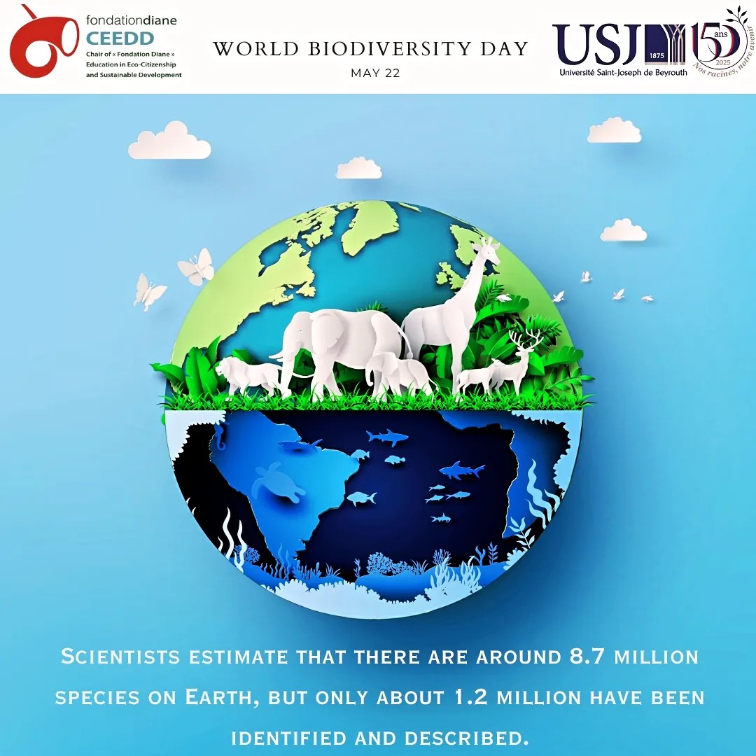 World Biodiversity Day
